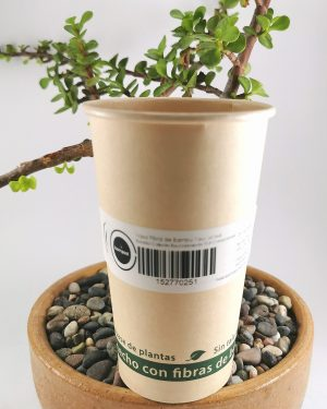Vaso para llevar 100% fibra de bambú biodegradable - Bueno para todos